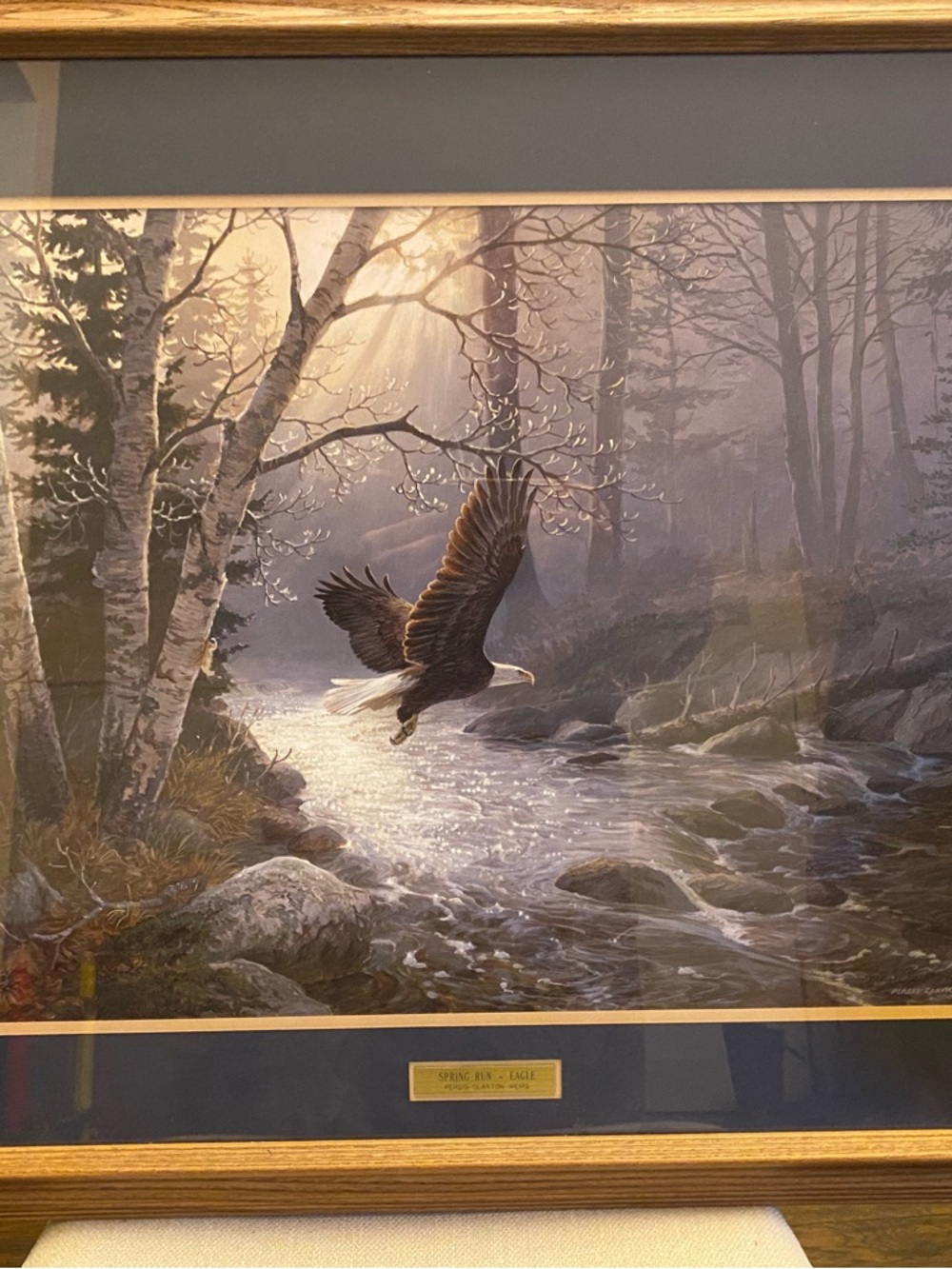 Soaring Eagle Nature Art Print - Blue and Gray Palette